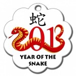 year of snake