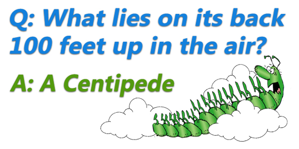 Centipede Falling