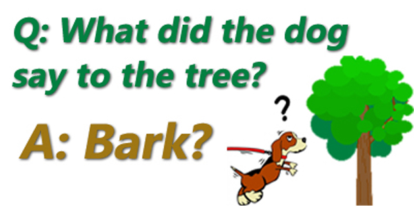 Dog Tree Bark